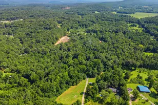 444 Nellie Ln, Trion, GA 30753 - Photo 29