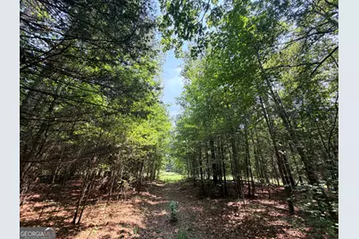 2 Mallorysville Road, Tignall, GA 30668 - Photo 43