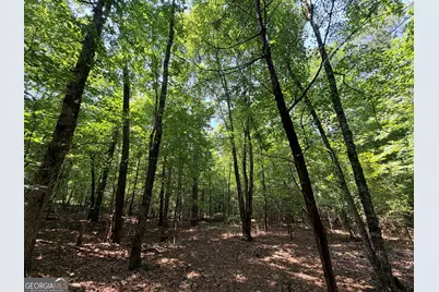 2 Mallorysville Road, Tignall, GA 30668 - Photo 37