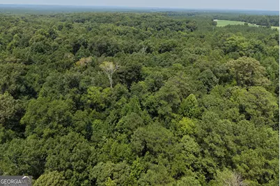 2 Mallorysville Road, Tignall, GA 30668 - Photo 7