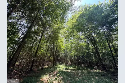 2 Mallorysville Road, Tignall, GA 30668 - Photo 39