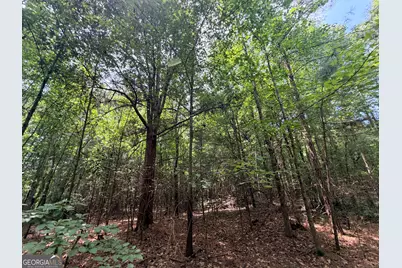 2 Mallorysville Road, Tignall, GA 30668 - Photo 15