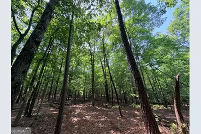 2 Mallorysville Road, Tignall, GA 30668 - Photo 33