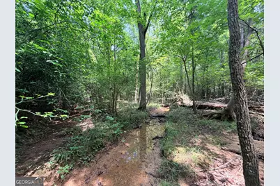 2 Mallorysville Road, Tignall, GA 30668 - Photo 31