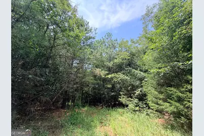 2 Mallorysville Road, Tignall, GA 30668 - Photo 17