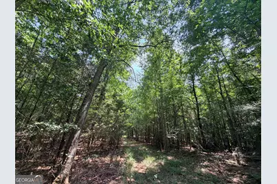 2 Mallorysville Road, Tignall, GA 30668 - Photo 41