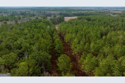 8817 Highway 100, Hogansville, GA 30230 - Photo 69
