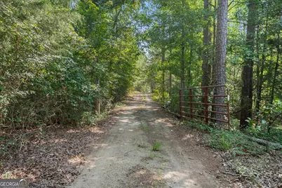 4401 Thomson Road, Washington, GA 30673 - Photo 31