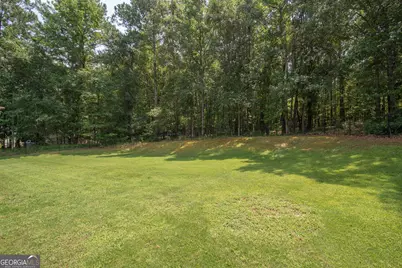 330 Hayward Bishop Way, Senoia, GA 30276 - Photo 37