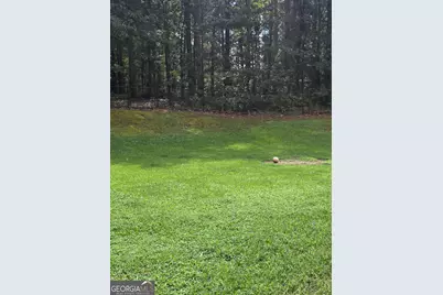 330 Hayward Bishop Way, Senoia, GA 30276 - Photo 5