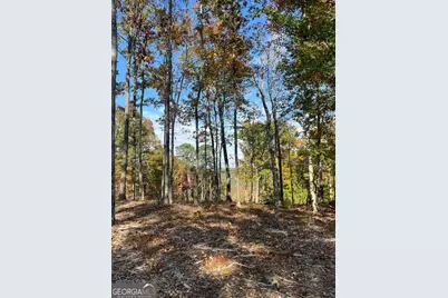 Lot 292 Creekside Crossing #292, Talking Rock, GA 30175 - Photo 3