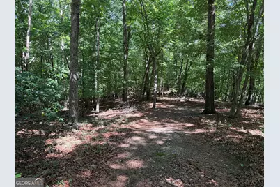 7 Ivy Hills Drive, Cleveland, GA 30528 - Photo 1