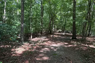 7 Ivy Hills Dr, Cleveland, GA 30528 - Photo 1