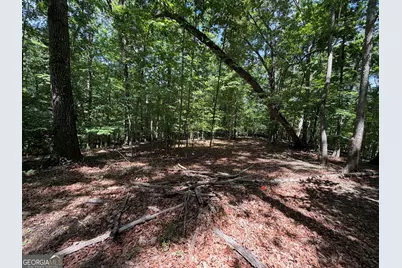 7 Ivy Hills Drive, Cleveland, GA 30528 - Photo 3