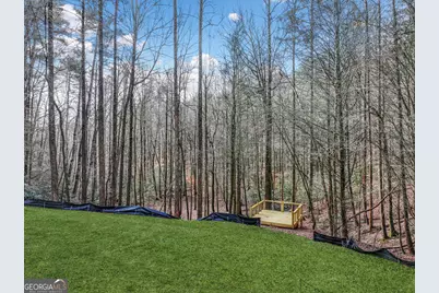 641 Bryant Farm Lane, Ellijay, GA 30540 - Photo 53