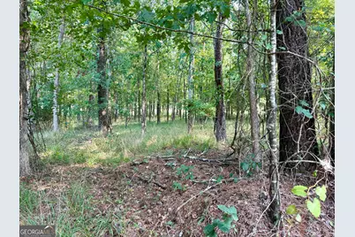 101 Stanton Drive, Eatonton, GA 31024 - Photo 13