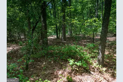 0 Dublin Circle, Kingston, GA 30145 - Photo 11