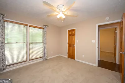 130 Wild Azaela Trail, Hampton, GA 30228 - Photo 45