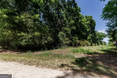 0 West Street, Carlton, GA 30627 - Photo 9