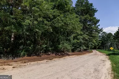 0 West Street, Carlton, GA 30627 - Photo 7