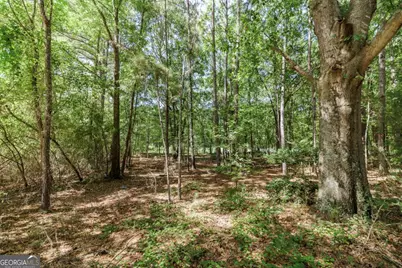 0 West Street, Carlton, GA 30627 - Photo 11