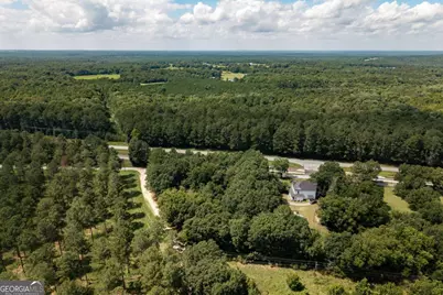 0 West Street, Carlton, GA 30627 - Photo 13