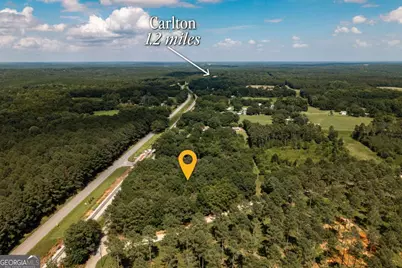 0 West Street, Carlton, GA 30627 - Photo 3