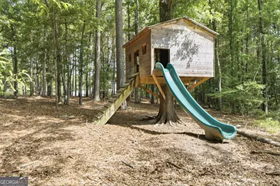 301 Friendship Church Road, Brooks, GA 30205 - Photo 57