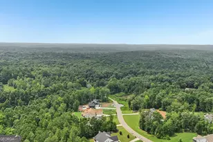 72 Water Stone Dr, Newnan, GA 30265 - Photo 85