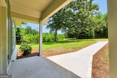 310 Old Macon Road, Hillsboro, GA 31038 - Photo 11