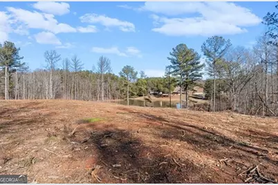 80 Hand Road, Bowdon, GA 30108 - Photo 51