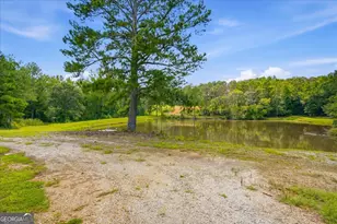 80 Hand Rd, Bowdon, GA 30108 - Photo 41