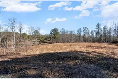 80 Hand Road, Bowdon, GA 30108 - Photo 49
