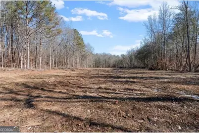 80 Hand Road, Bowdon, GA 30108 - Photo 45