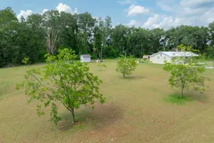 2165 Satilla Church Rd, Baxley, GA 31513 - Photo 33