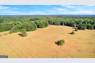 4091 Hollonville Rd, Williamson, GA 30292 - Photo 31