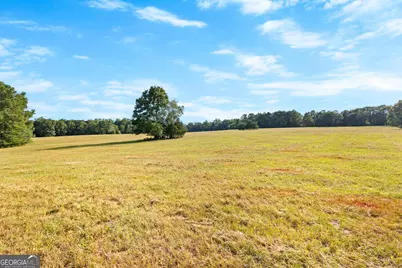 4091 Hollonville Rd, Williamson, GA 30292 - Photo 37
