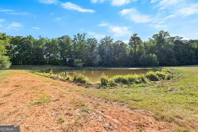 4091 Hollonville Rd, Williamson, GA 30292 - Photo 41