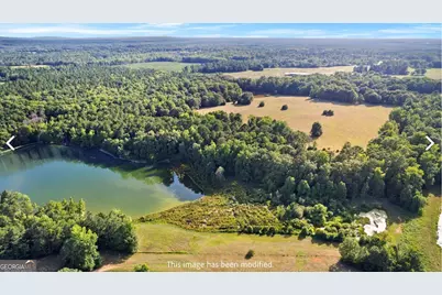 4091 Hollonville Rd, Williamson, GA 30292 - Photo 5