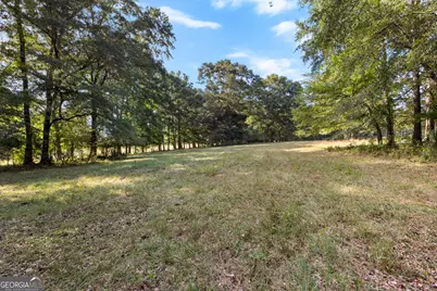 4091 Hollonville Rd, Williamson, GA 30292 - Photo 39