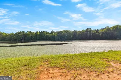 4091 Hollonville Rd, Williamson, GA 30292 - Photo 27