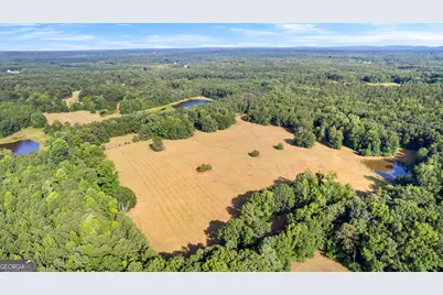 4091 Hollonville Rd, Williamson, GA 30292 - Photo 29