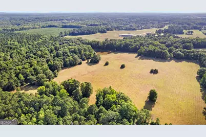 4091 Hollonville Rd, Williamson, GA 30292 - Photo 35