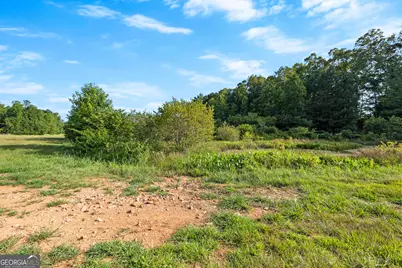 4091 Hollonville Rd, Williamson, GA 30292 - Photo 21