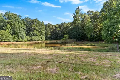 4091 Hollonville Rd, Williamson, GA 30292 - Photo 43