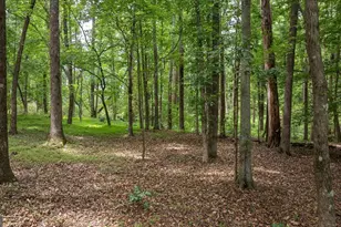 210 Old Elberton Rd, Athens, GA 30601 - Photo 49