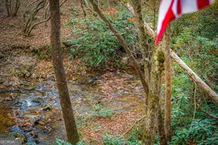 90 Hay Ln, Morganton, GA 30560 - Photo 69
