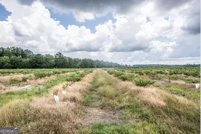 930 Old Surrency Road, Baxley, GA 31513 - Photo 17