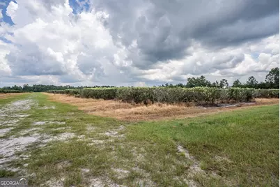 930 Old Surrency Road, Baxley, GA 31513 - Photo 7