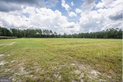 930 Old Surrency Road, Baxley, GA 31513 - Photo 11